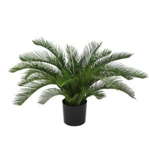 Designplants Cycas-Palme Kunstpflanze (h: 60 cm)