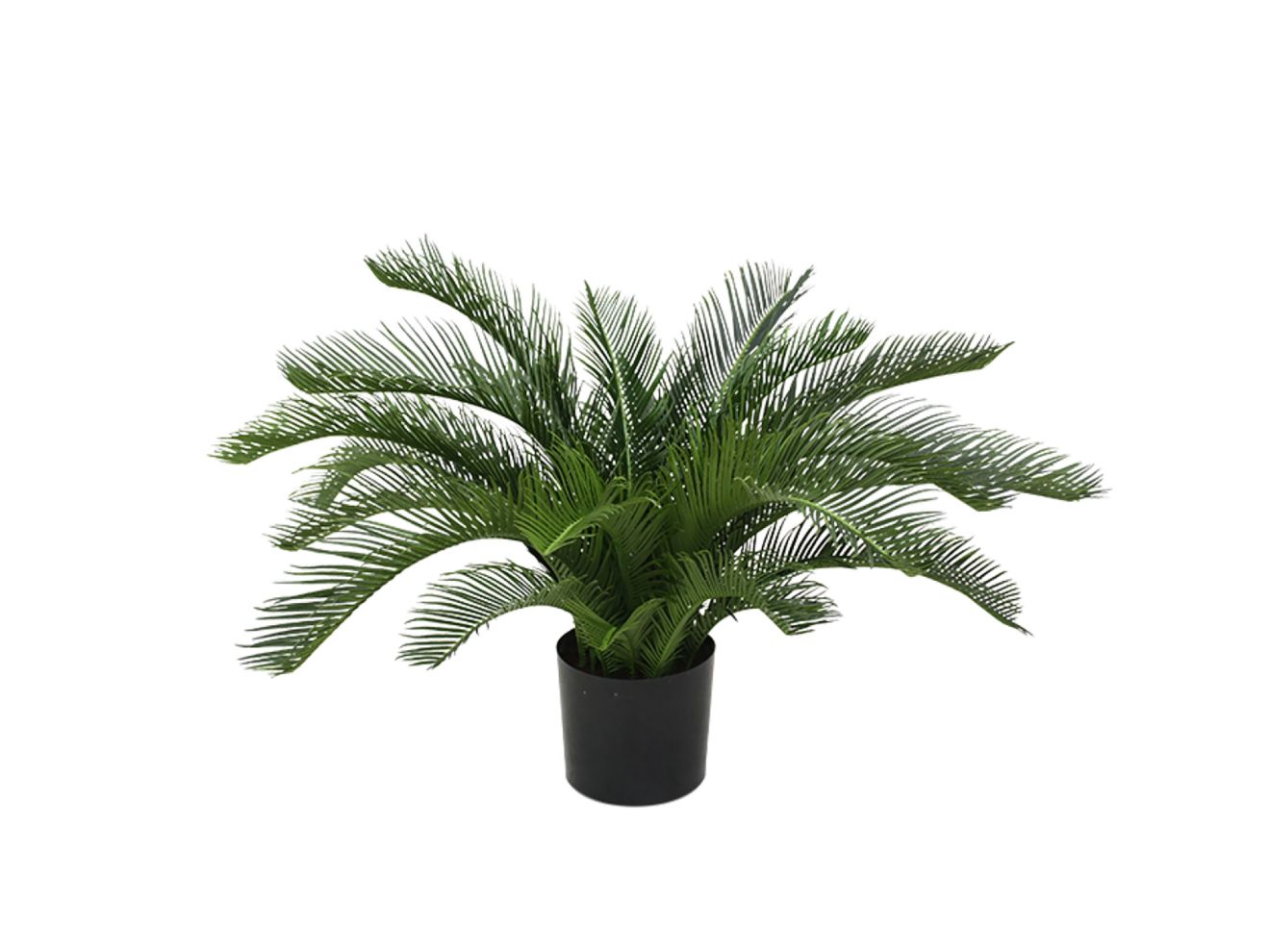 Designplants Cycas-Palme Kunstpflanze (h: 60 cm)