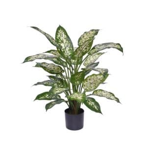 Designplants Dieffenbachia Kunstpflanze (h: 60 cm)
