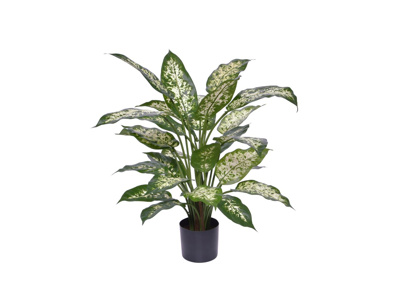 Designplants Dieffenbachia Kunstpflanze (h: 60 cm)