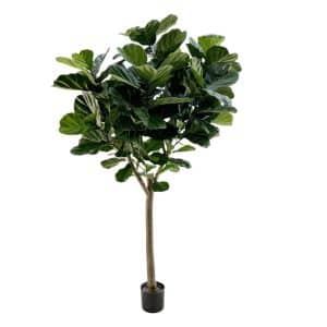 Designplants Lyrata Y Kunstbaum (h: 220 cm)