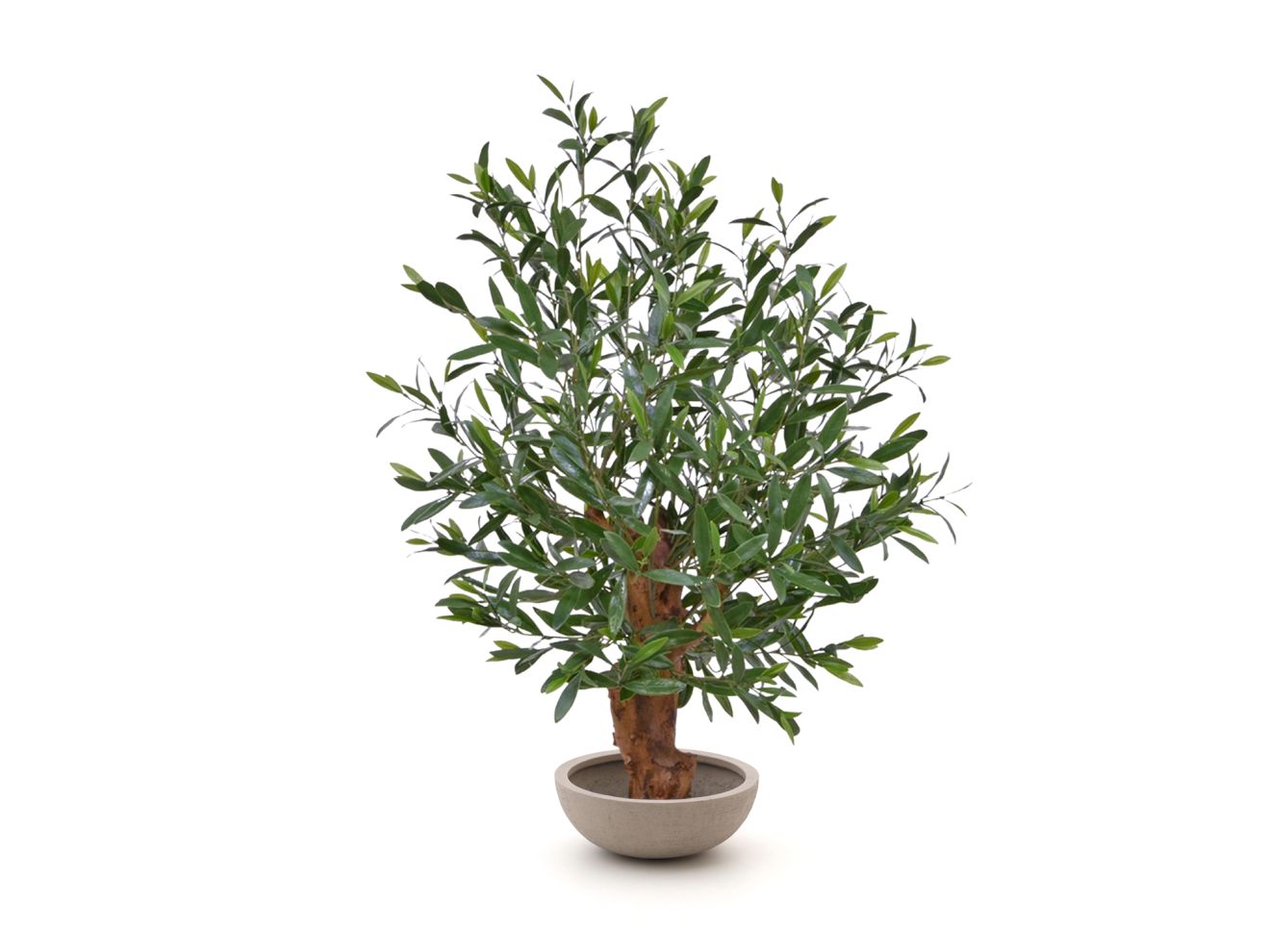 Designplants/Luca Lifestyle Oliven Bonsai Kunstpflanze (h:90 cm) mit Terreno Bowl Blumentopf