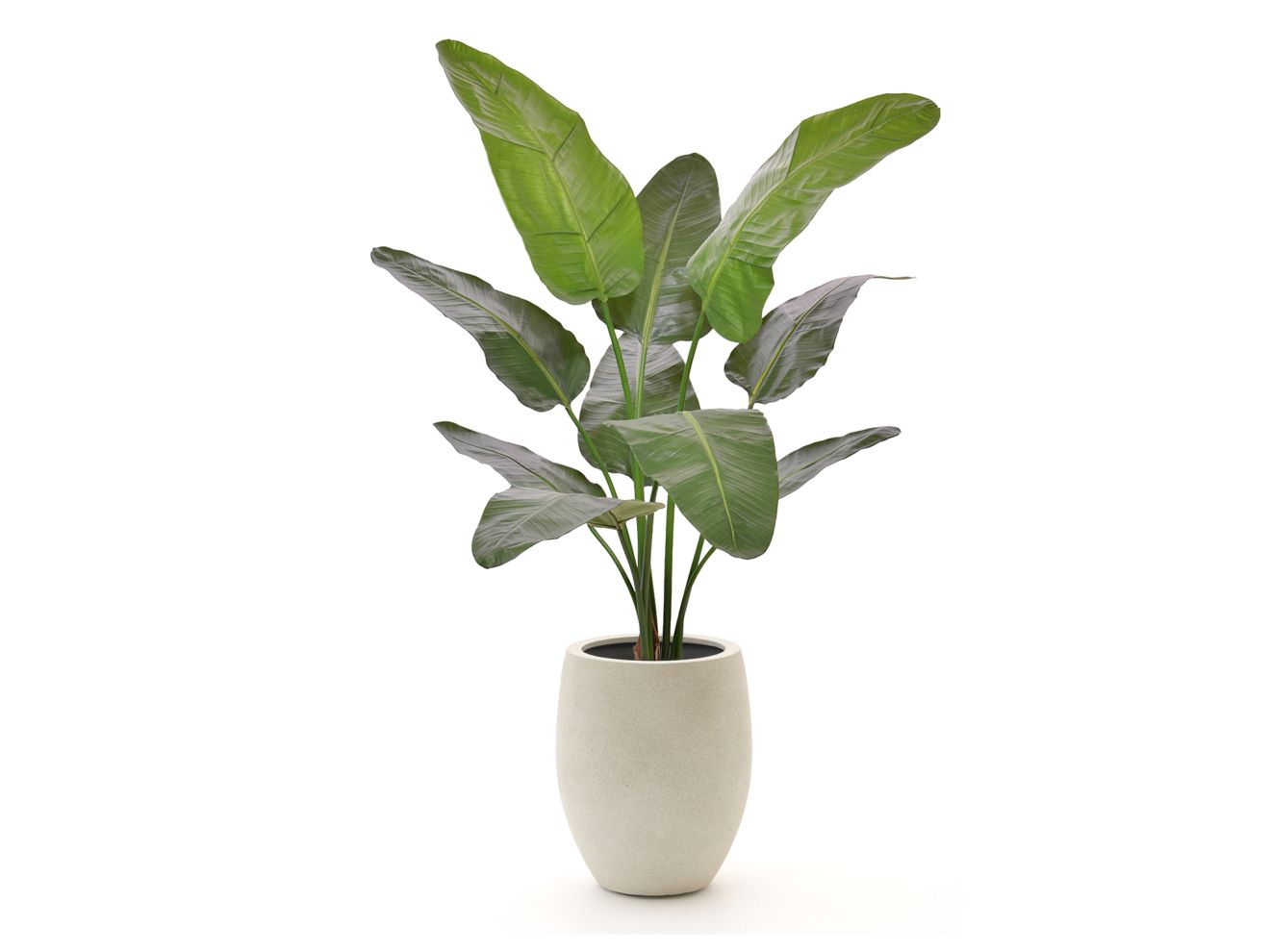 Designplants/Luca Lifestyle Strelitzia Nicolai Kunstpflanze (h:145 cm) mit Grigio Tall Balloon Blumentopf