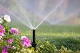 Grüner Daumen Deluxe: Mit diesen Top 5 Garten Gadgets wird dein Garten zur Oase