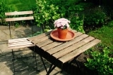 Garten Beistelltische: Stehtischpartys mit Flair