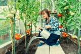 Urin als Dünger – Aus diesen 9 Gründen solltest du in den Garten pinkeln