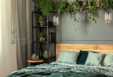 Schlafzimmer Pflanzen – 9 passende Pflanzen entdecken